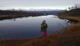 Norway. Discovering the fjords in the fall.